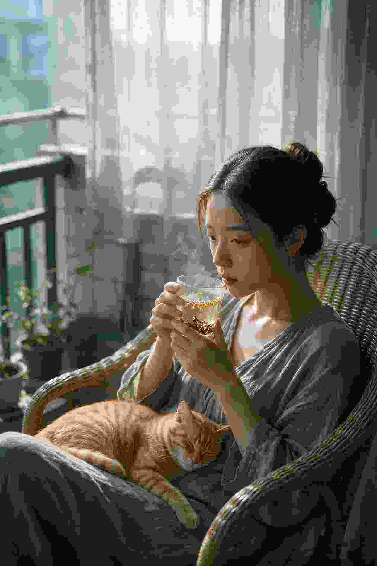 猫和老鼠