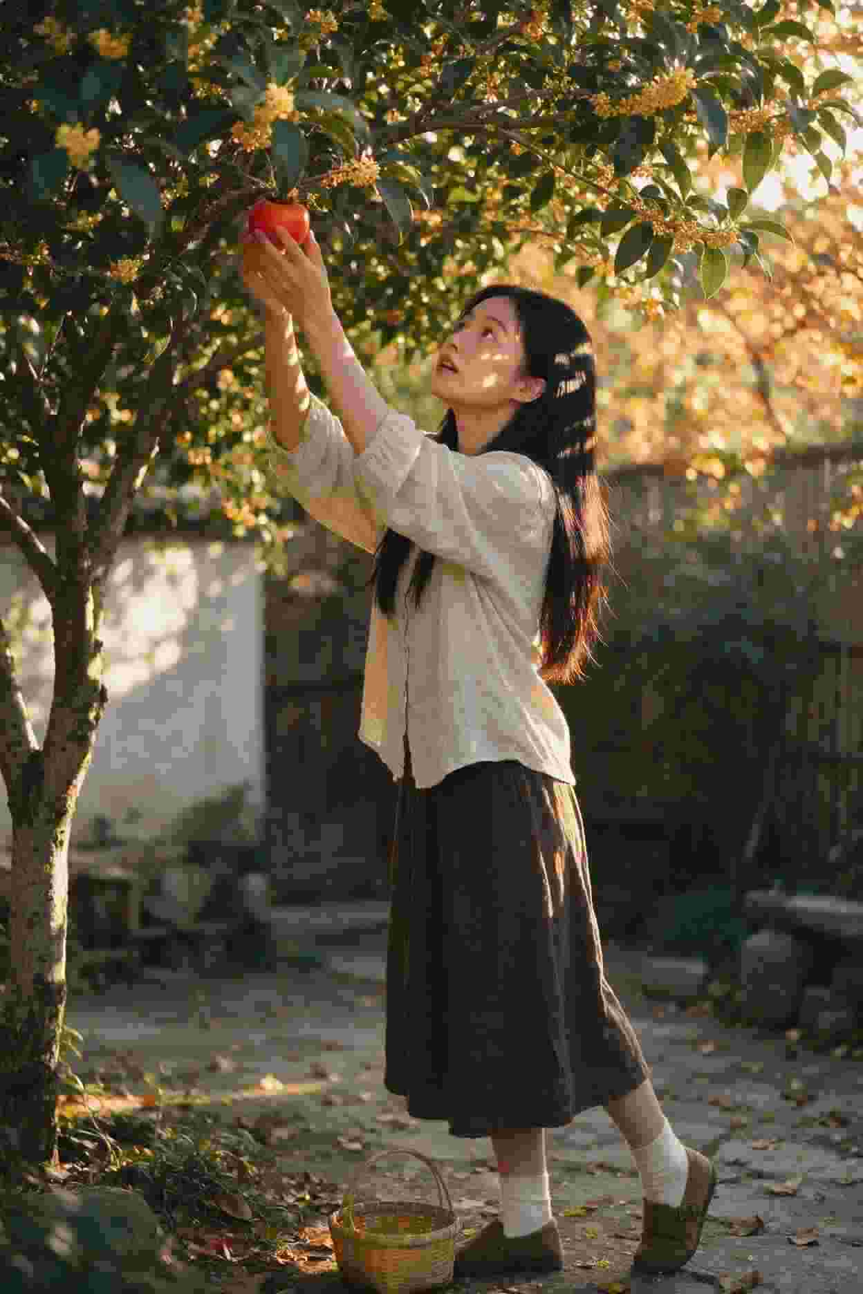 亲爱的婚姻